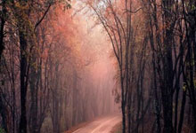 国王队球员被曝出个人生活不端行为