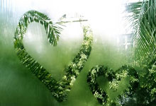 巴拉多利德队壮志凌云，勇往直前取得胜利