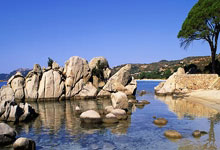 深圳市飞豹主帅遭解职，球队危机四伏